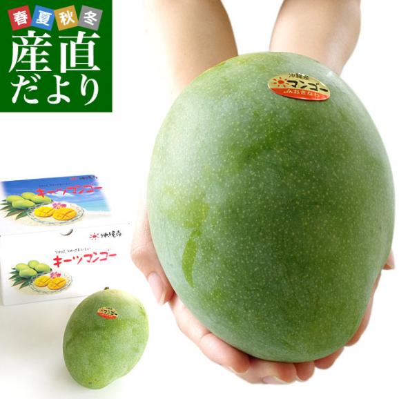 Okinawa Keats Mango 沖繩濟慈芒果