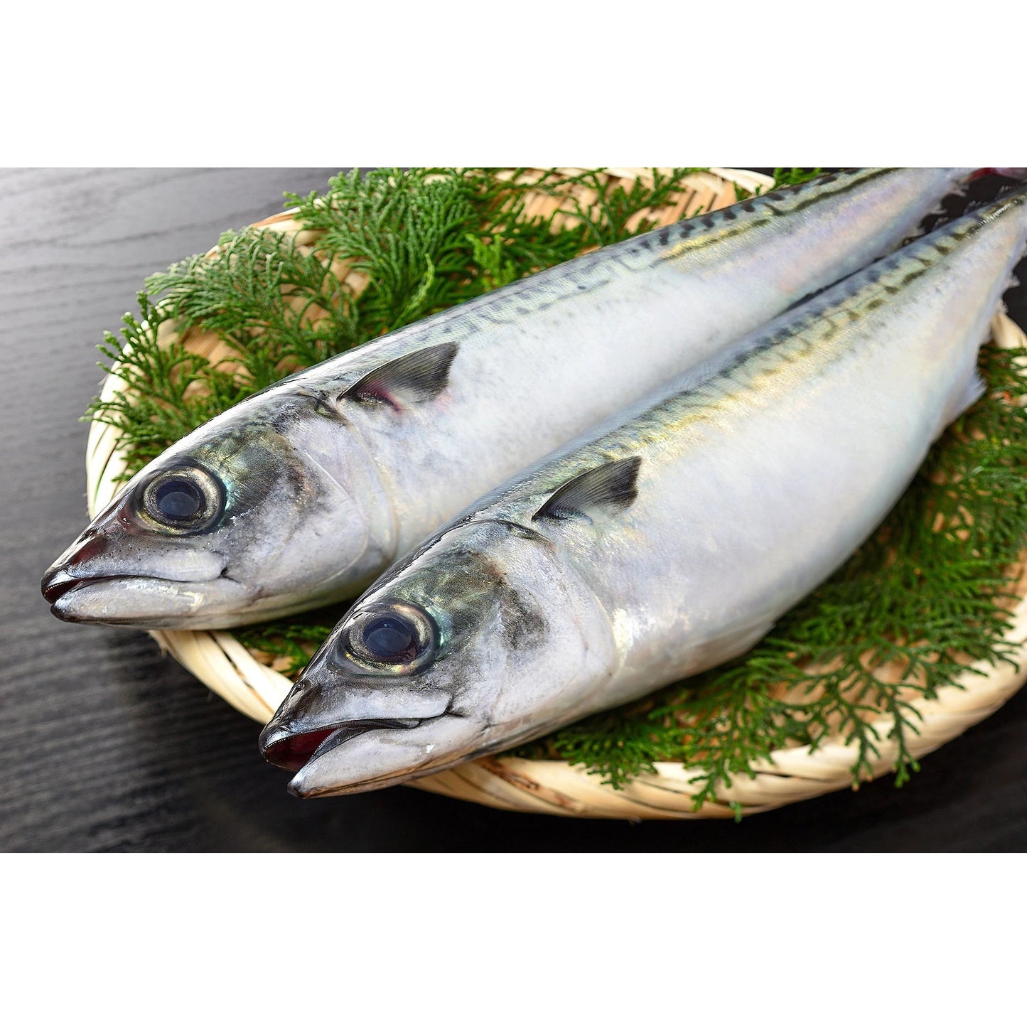 Fresh Chub Mackerel (saba) 新鮮鯖魚