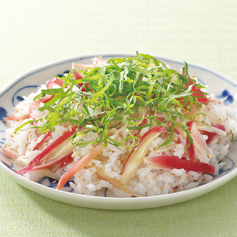 Myoga Japanese Ginger 日本茗荷