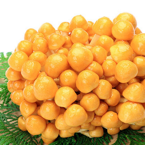 Nameko Mushroom 新鮮滑子菇