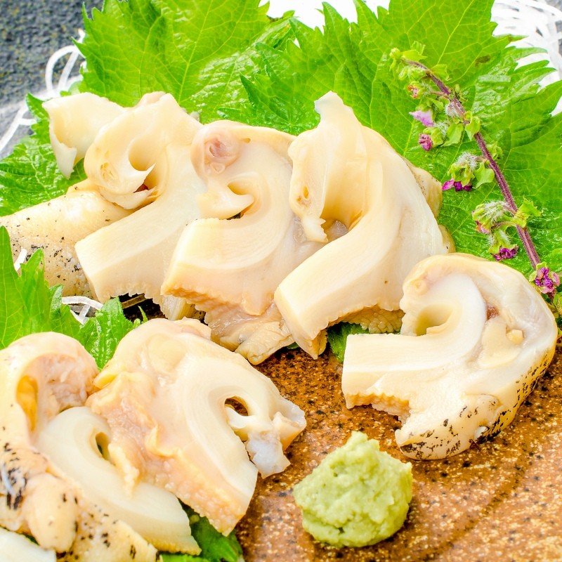 Hokkaido Lighthouse Whelk (Tsubugai) 北海道煮燈塔螺