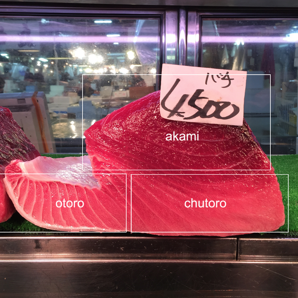 Bluefin Tuna Otoro/Chutoro/Akami 新鮮藍鰭金槍魚 大腹/中腹/赤身