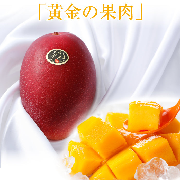 Miyazaki Mango "Egg of the Sun" 宮崎縣產完熟芒果「太陽之子」