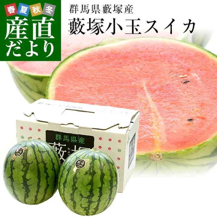 Yabuzuka Kodama Watermelon 群馬藪塚小玉西瓜