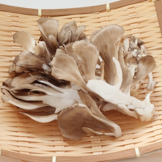 Maitake Mushroom 新鮮舞茸
