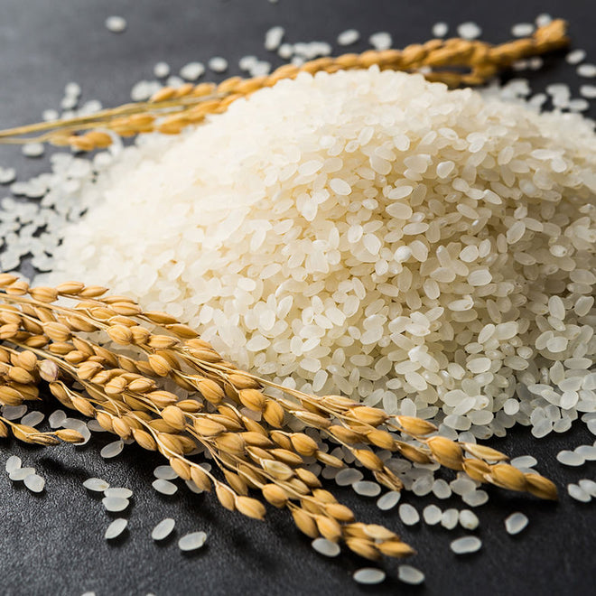 Japanese Rice 日本香米