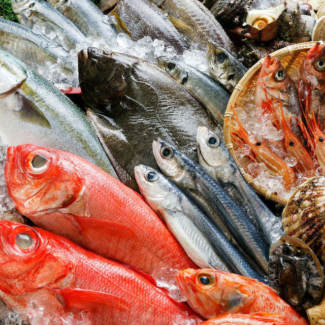 Fresh Seasonal Fish 季節新鮮魚類