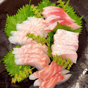Ehime Quality Sashimi 愛媛県優質刺身
