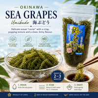 Okinawa Sea Grapes (Umibudo)