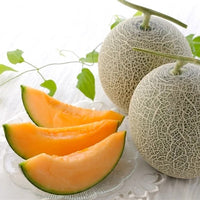 Hokkaido Raiden Melon 北海道雷電蜜瓜