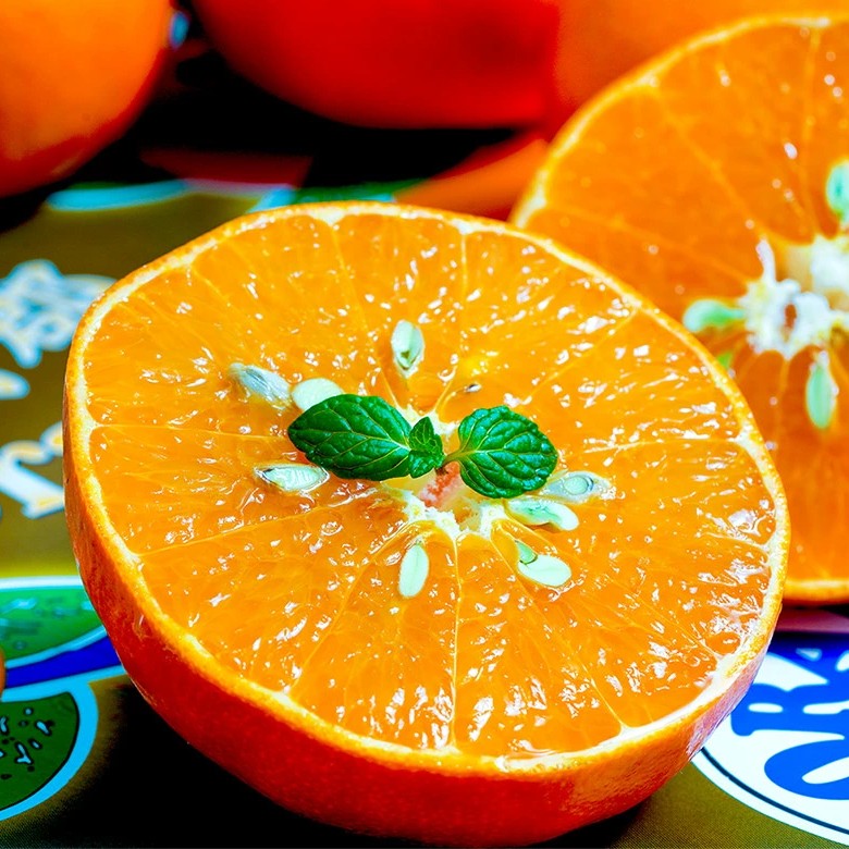 Aichi Gamagori Reikou Mikan 愛知蒲郡麗紅蜜柑