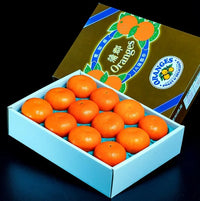 Aichi Gamagori Reikou Mikan 愛知蒲郡麗紅蜜柑