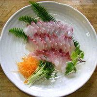 Striped Beakfish (ishidai) 石鯛