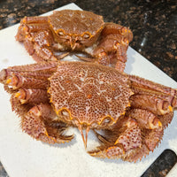 Fresh Hokkaido Horsehair Crab 北海道新鮮毛蟹