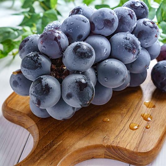 Syukaen Kyoho Grapes 秀果園巨峰葡萄