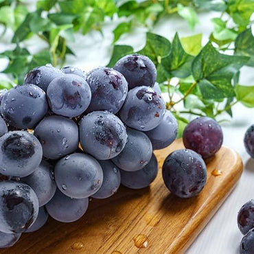 Syukaen Kyoho Grapes 秀果園巨峰葡萄