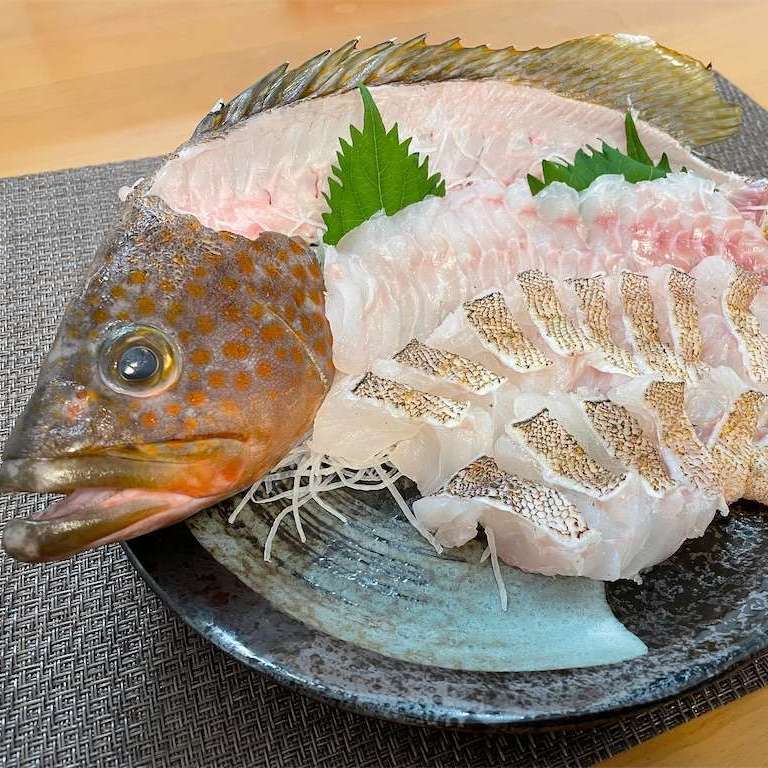 Fresh Red Spotted Grouper (kijihata) 新鮮赤點石斑魚