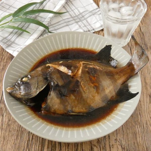 Fresh Striped Beakfish (ishidai) 新鮮石鯛