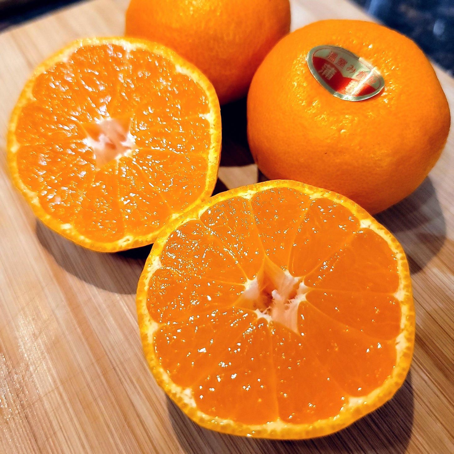 Aichi Gamagori House Mikan 浦郡溫室蜜柑