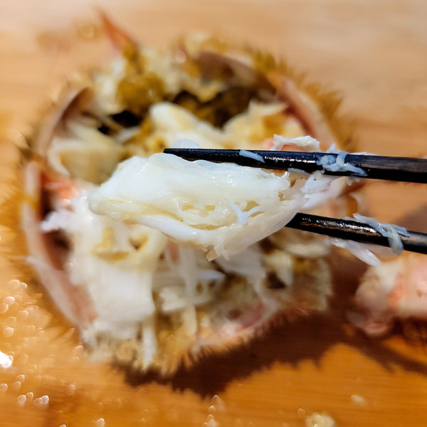 Fresh Hokkaido Horsehair Crab 北海道新鮮毛蟹