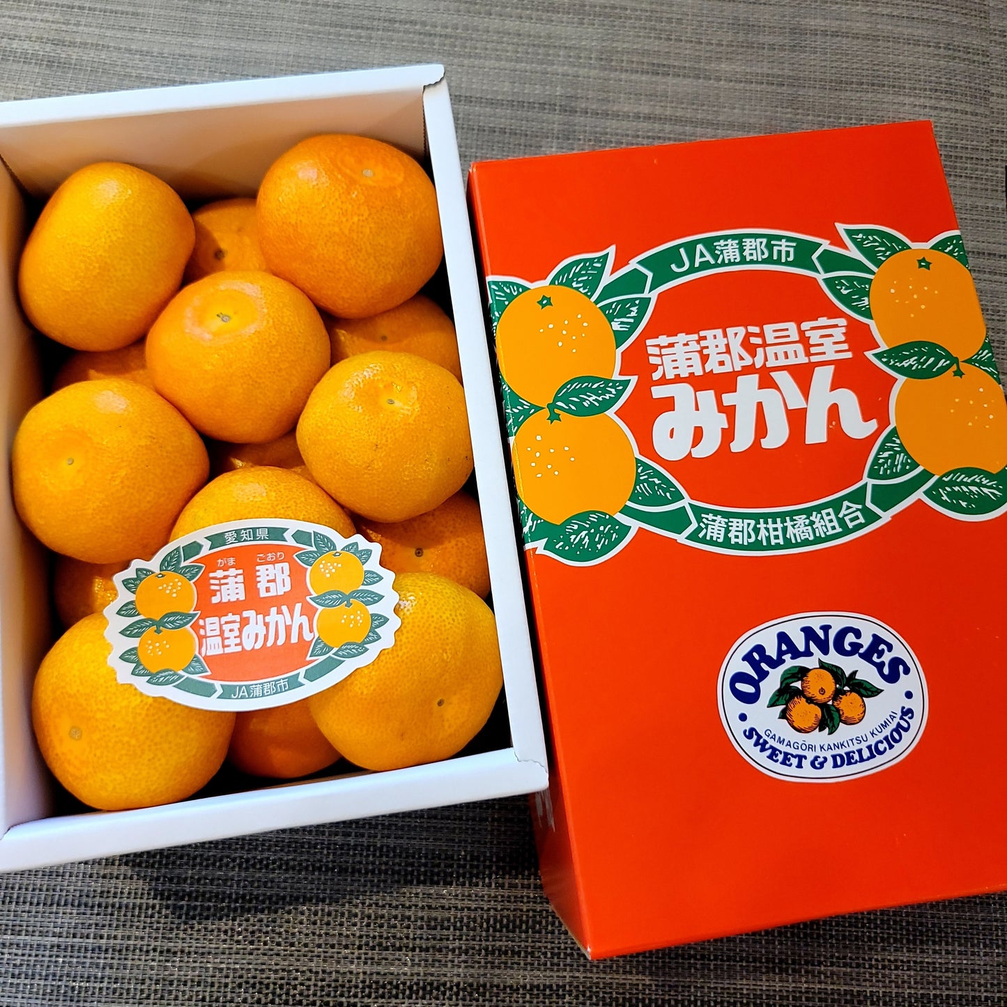 Aichi Gamagori House Mikan 浦郡溫室蜜柑