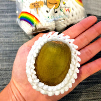Rainbow Red Kiwi Fruit 日本彩虹奇異果(猕猴桃)