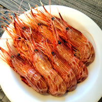 Morotoge Red Shrimp (shimaebi) 新鮮縞海老