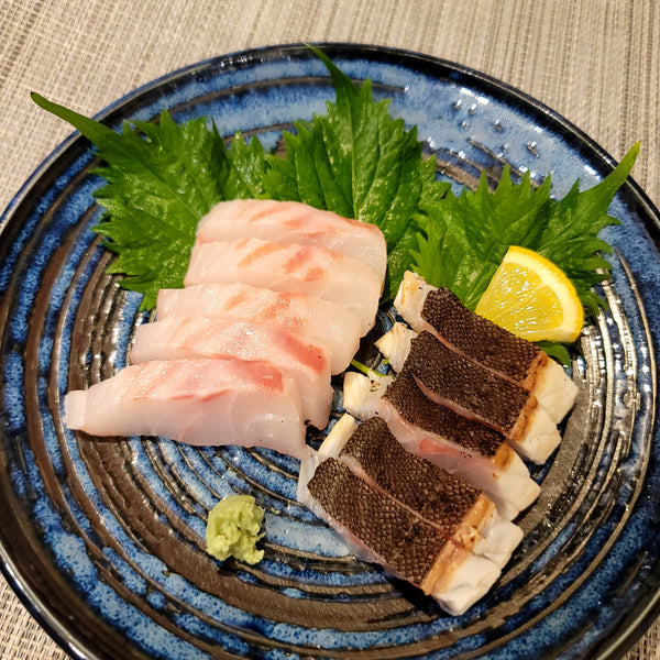 Fresh Striped Beakfish (ishidai) 新鮮石鯛