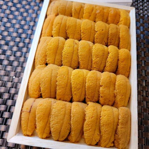 Sanriku murasaki Uni 三陸紫海膽