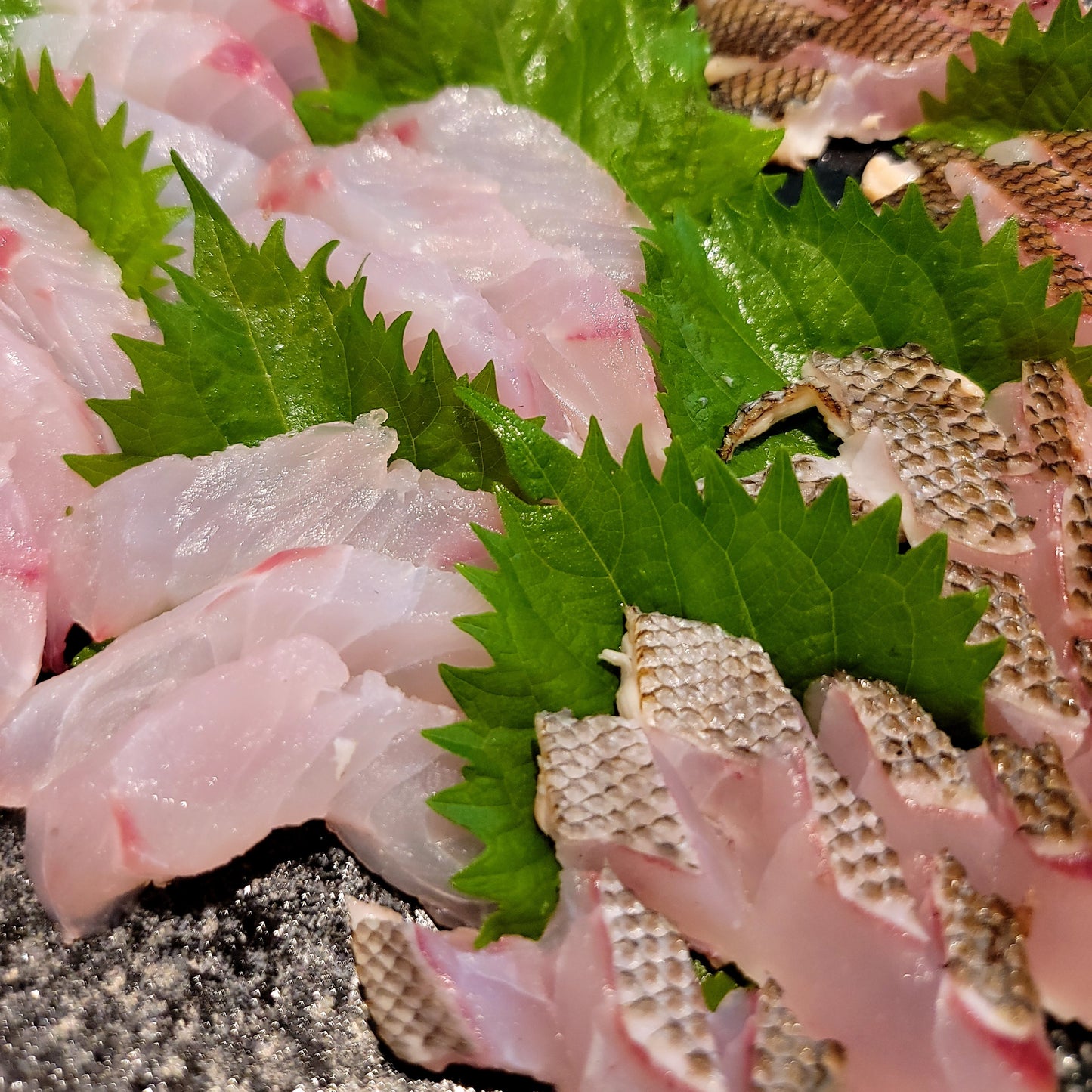 Fresh Chicken Grunt (Isaki) 新鮮日本黃雞魚