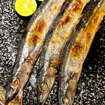 Fresh Pacific Saury (Sanma) 新鮮秋刀魚