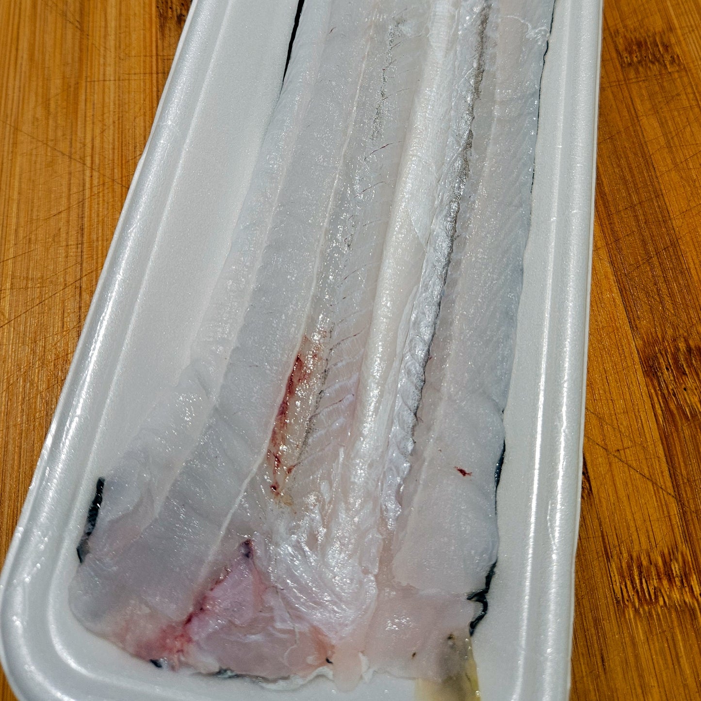 Fresh Salt Water Eel (Anago) 新鮮日本星鰻
