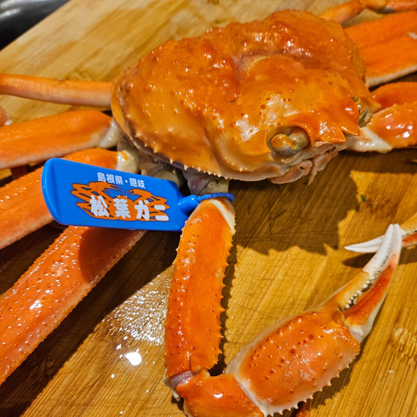 Boiled Japanese Snow Crab (Matsuba Gani) 新鮮水煮松葉蟹