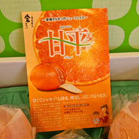 Ehime Kanpei Mikan 愛媛甘平蜜柑