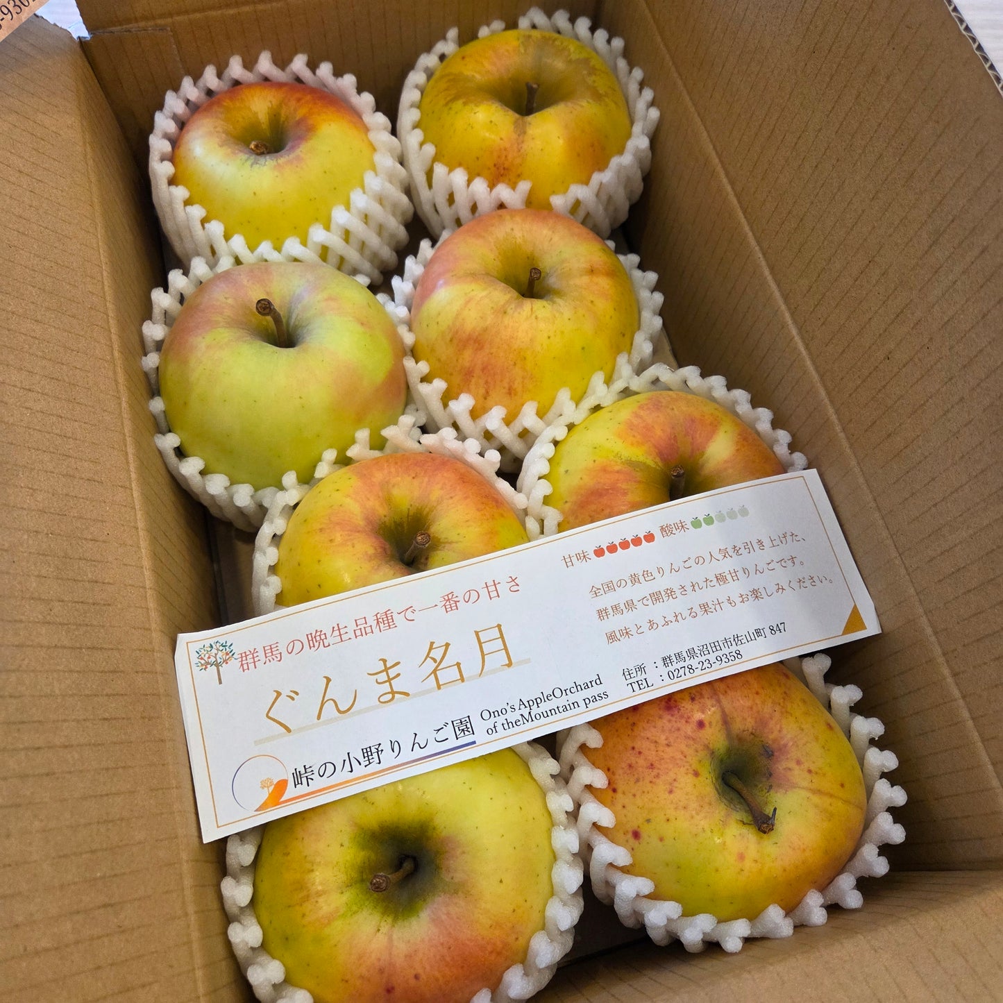 Gunma Meigetsu Apple 群馬名月