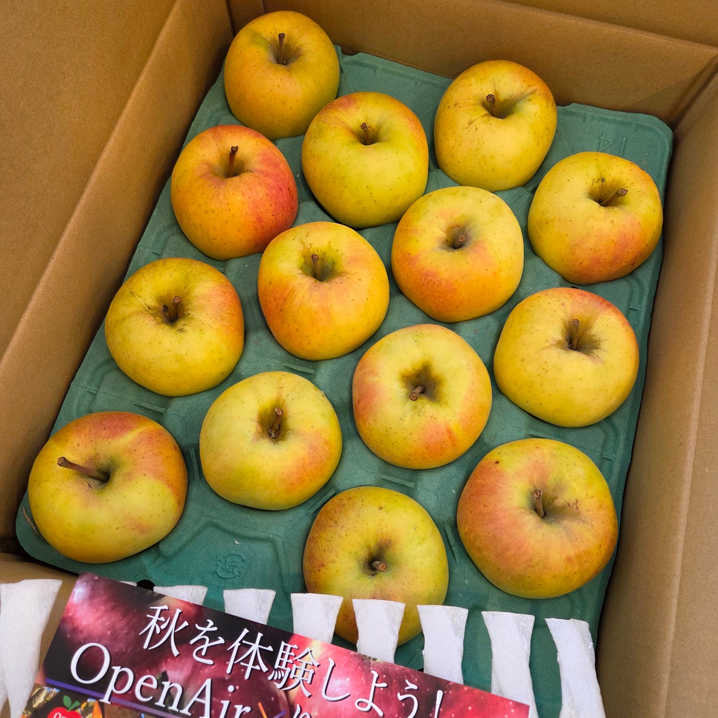 Gunma Meigetsu Apple 群馬名月