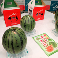 Yabuzuka Kodama Watermelon 群馬藪塚小玉西瓜