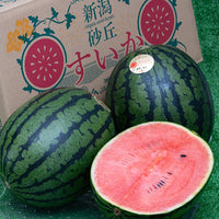 Niigata Ruby Moon Mini Watermelon 新潟紅月小玉西瓜