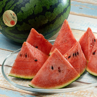 Niigata Ruby Moon Mini Watermelon 新潟紅月小玉西瓜