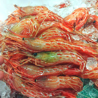 Morotoge Red Shrimp (shimaebi) 新鮮縞海老