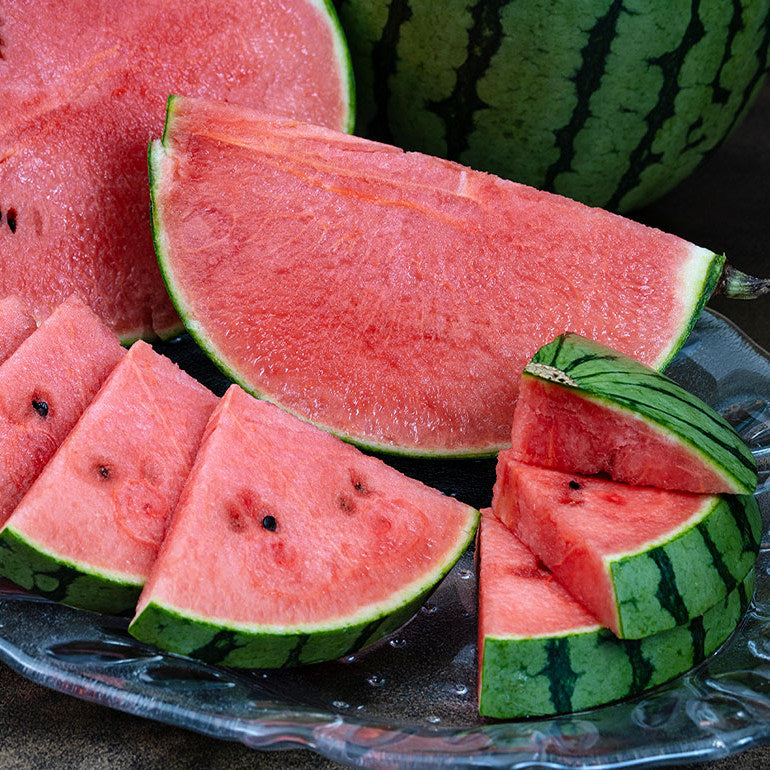 Aomori Pino Girl Kodama Watermelon 青森 Pino Girl 小玉西瓜