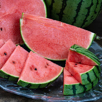 Aomori Pino Girl Kodama Watermelon 青森 Pino Girl 小玉西瓜