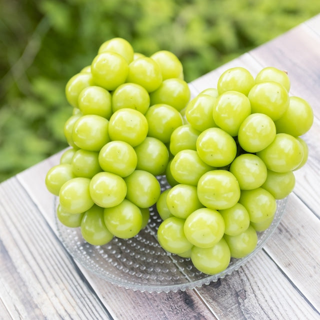 Syukaen Shine Muscat Grapes 秀果園麝香葡萄(香印提子)