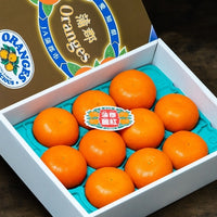 Aichi Gamagori Reikou Mikan 愛知蒲郡麗紅蜜柑