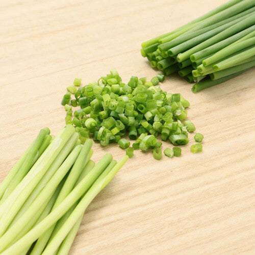Hakata Banno Green Onion 博多萬能蔥