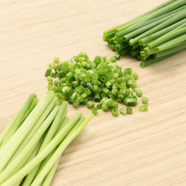 Hakata Banno Green Onion 博多萬能蔥