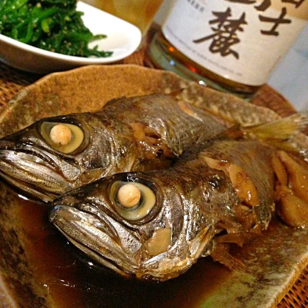 Fresh Japanese Bluefish (Kuromutsu) 新鮮黒鯥