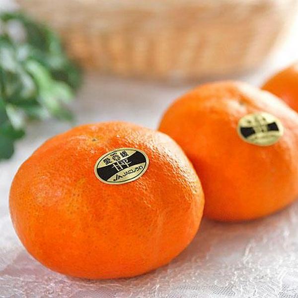 Ehime Kanpei Mikan 愛媛甘平蜜柑