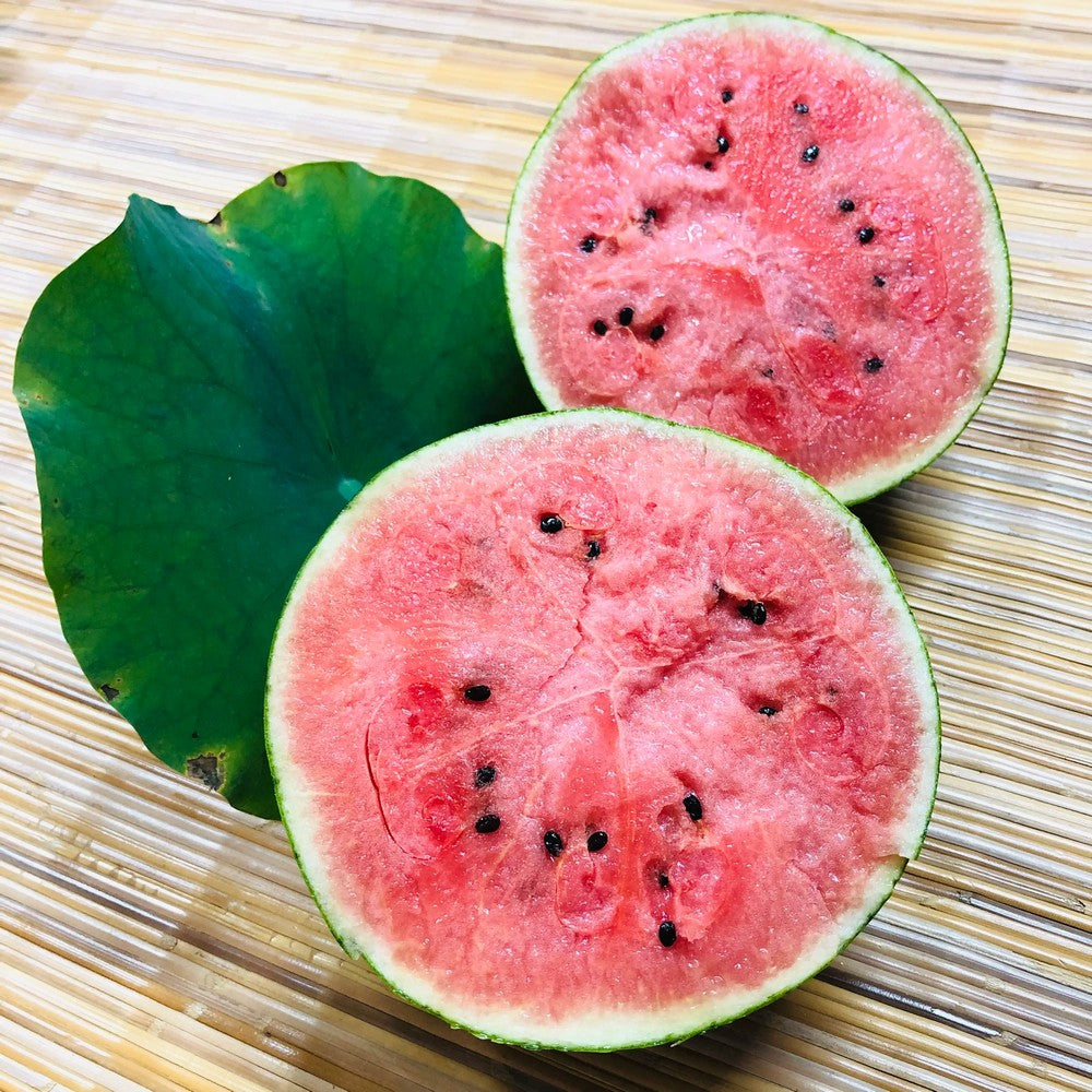 Aomori Pino Girl Kodama Watermelon 青森 Pino Girl 小玉西瓜