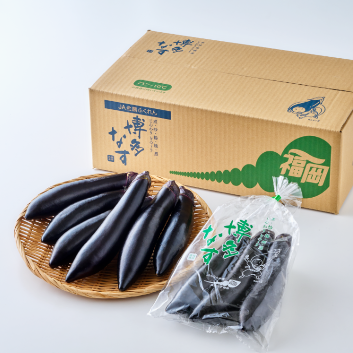 Hakata Eggplant (Nasu) 3pcs 博多茄子
